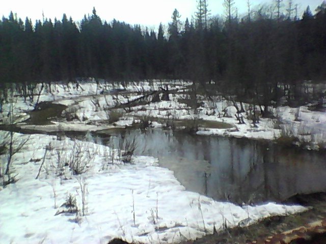Александр Яковлев | Ярославль