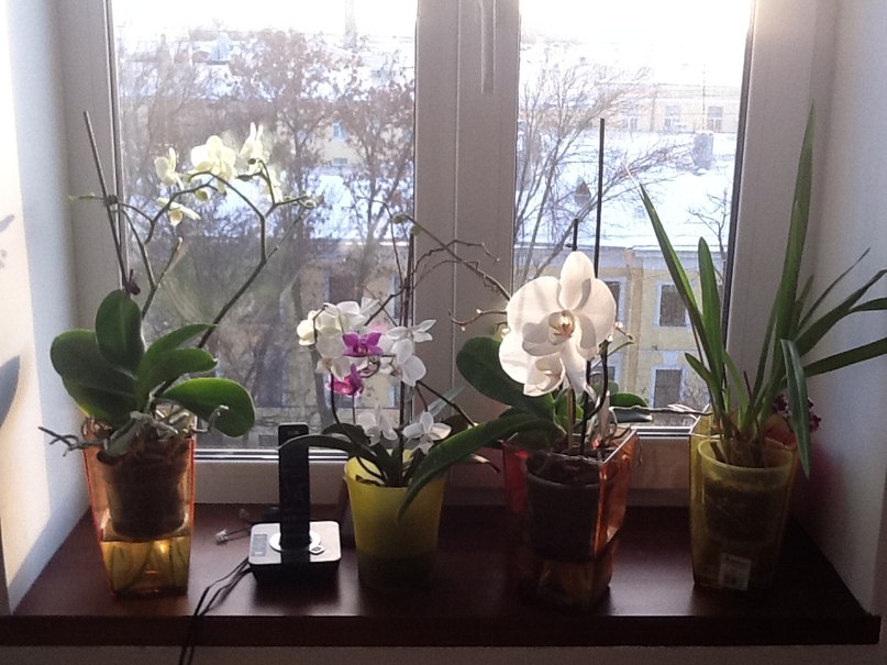 Ольга Кизилова | Санкт-Петербург