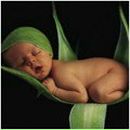 Виталик Фоя | Васильков