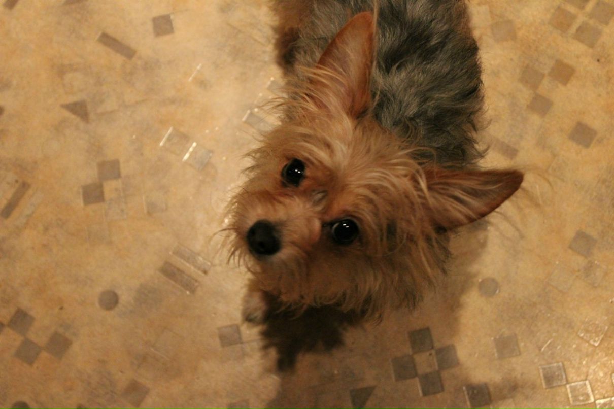 Светлана Порохина | Челябинск