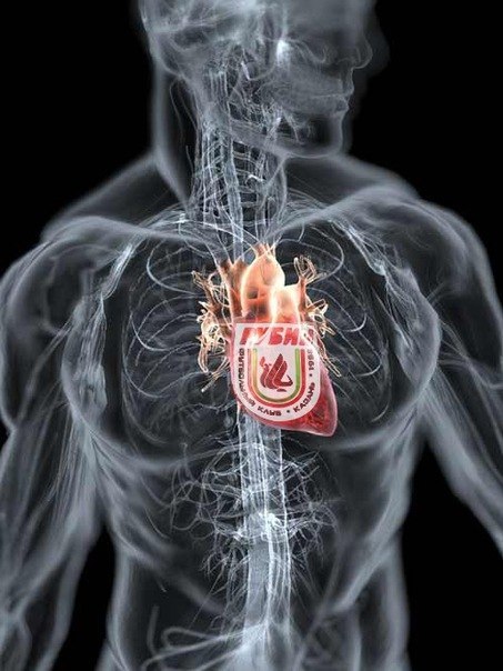 Александр Трактирский | Нижнекамск