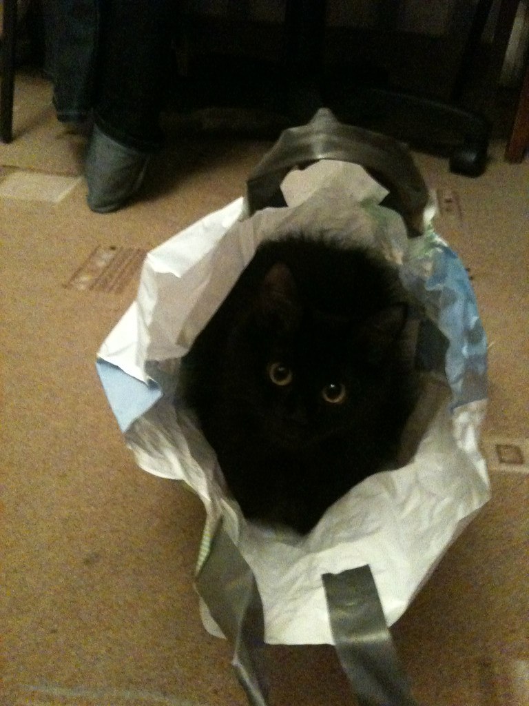 Ольга Миронова | Москва