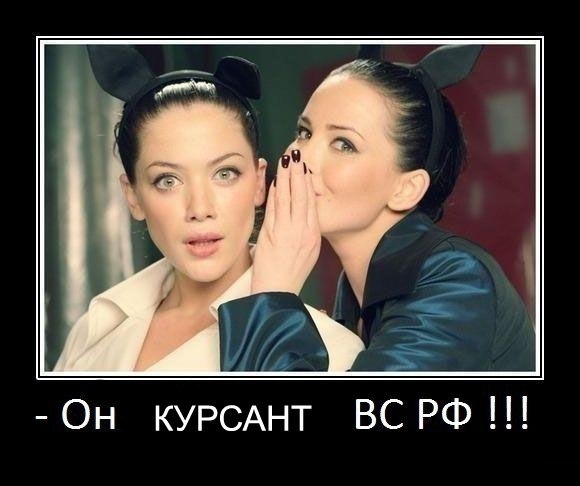 Александр Щербаков | Санкт-Петербург