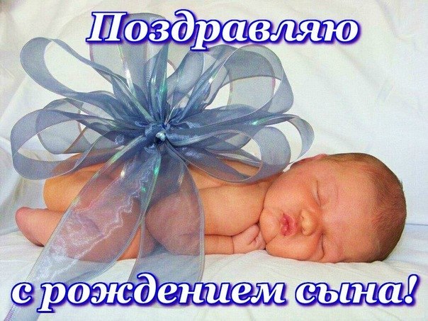 Леся Кушнир | Винница