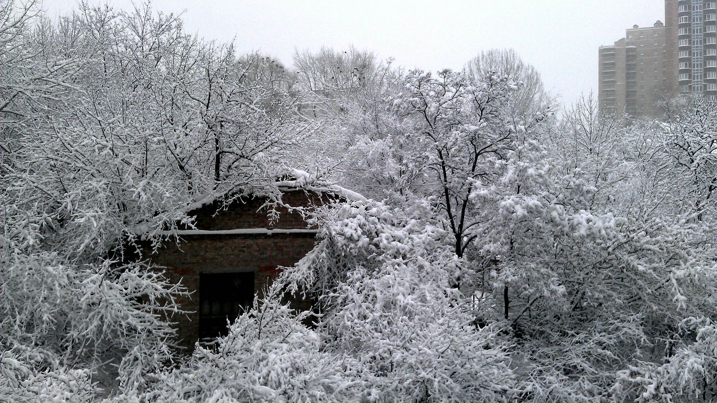 Тимофей Ефимов TimonBaton | Киев