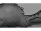 Ольга Манильчук | Архангельск