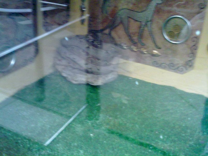 №109, Андрей Негодяев, Воронеж №109, Андрей Негодяев, Воронеж