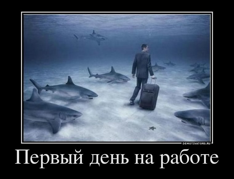 Максим Тагиров | Новороссийск