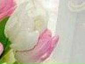 Кристина Петраш | Запорожье