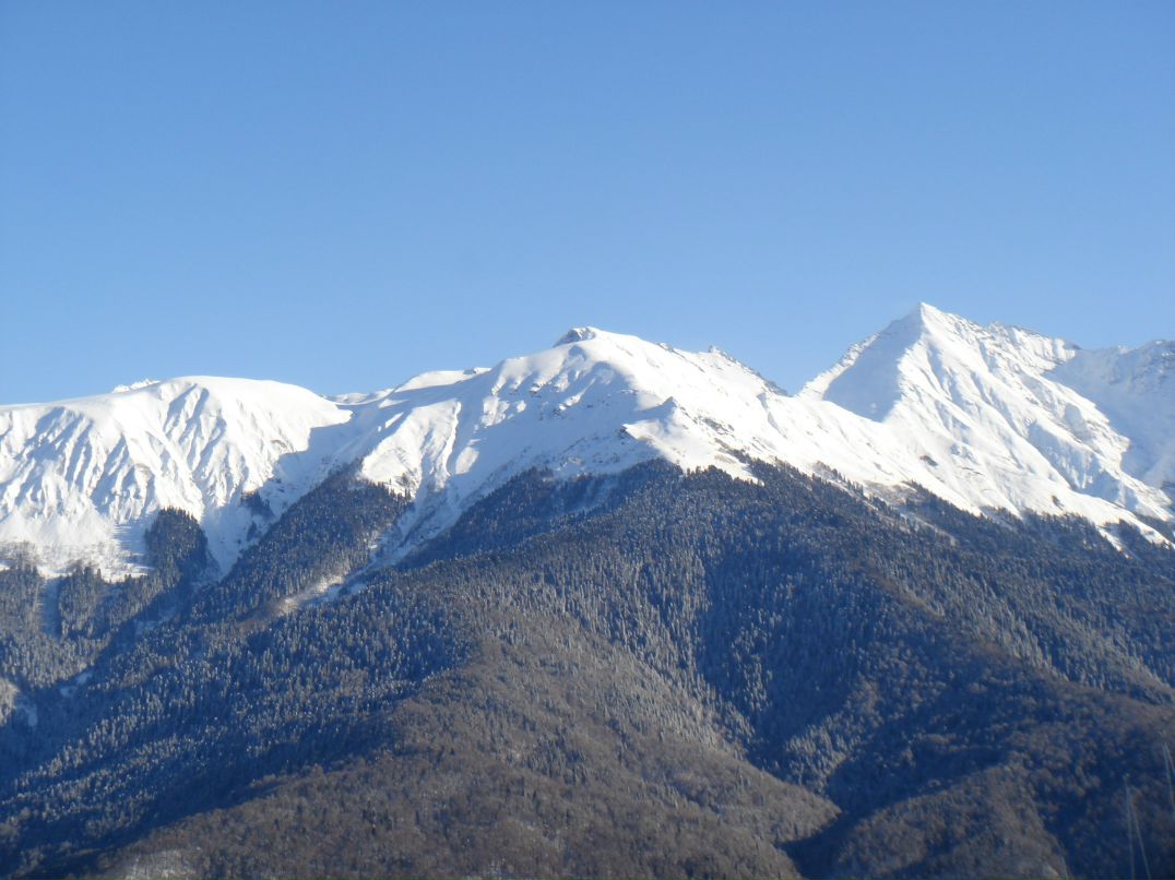 Виктор Леший | Сочи