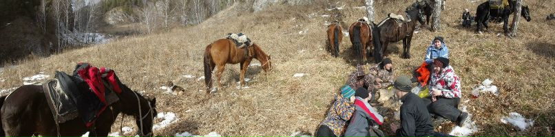 Андрей Гусельников | Новосибирск