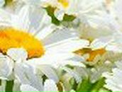 Татьяна Семакова | Архангельск