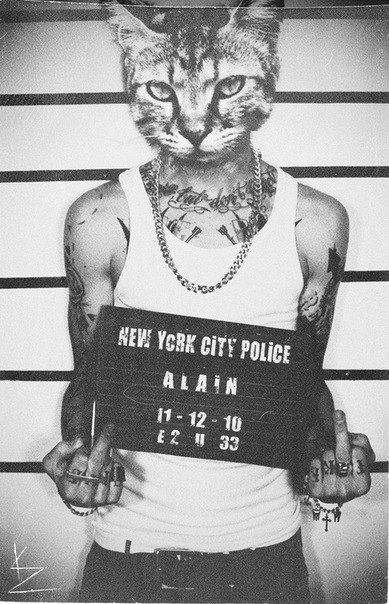 Филипп Морис | 