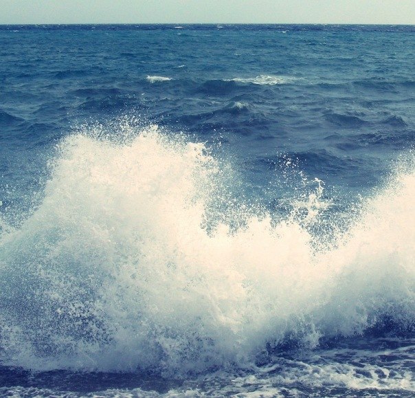 Галина Новикова | Орёл