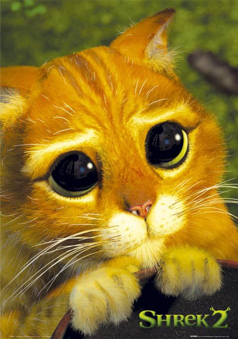 Денис Сидоров | Волгоград