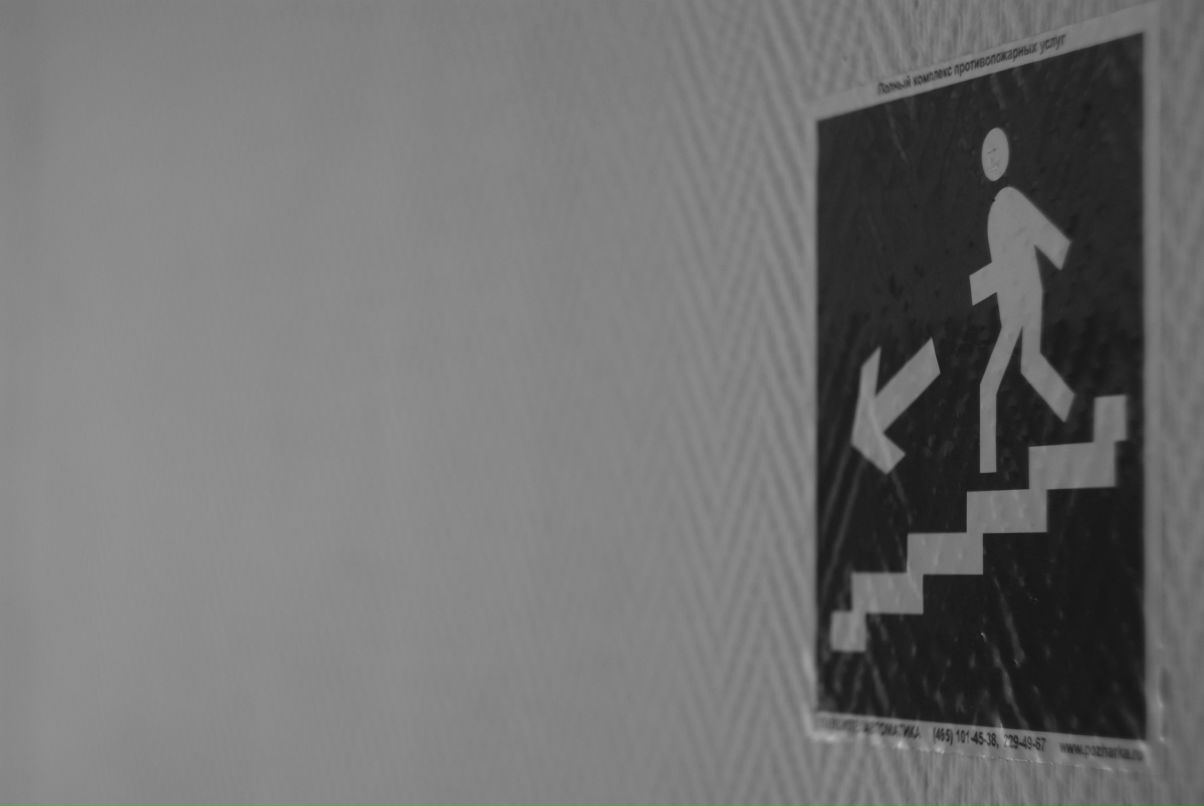 Антон Воеводин toha | Москва