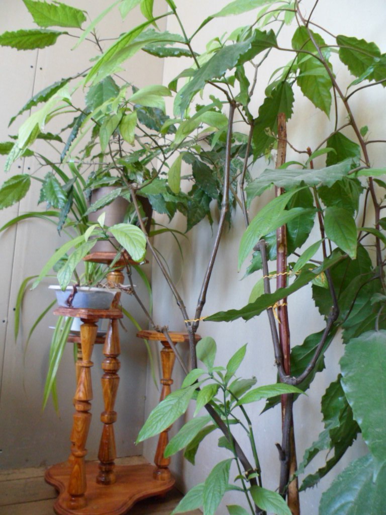 Vladimir Bochkarev | 