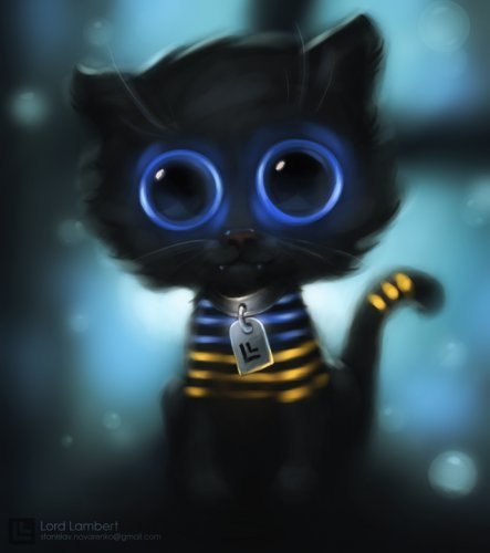 Никита Зюзин | Новосибирск