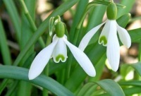 №17, Елена Смирнова, 59 лет, Набережные Челны, Россия №17, Елена Смирнова, 59 лет, Набережные Челны, Россия