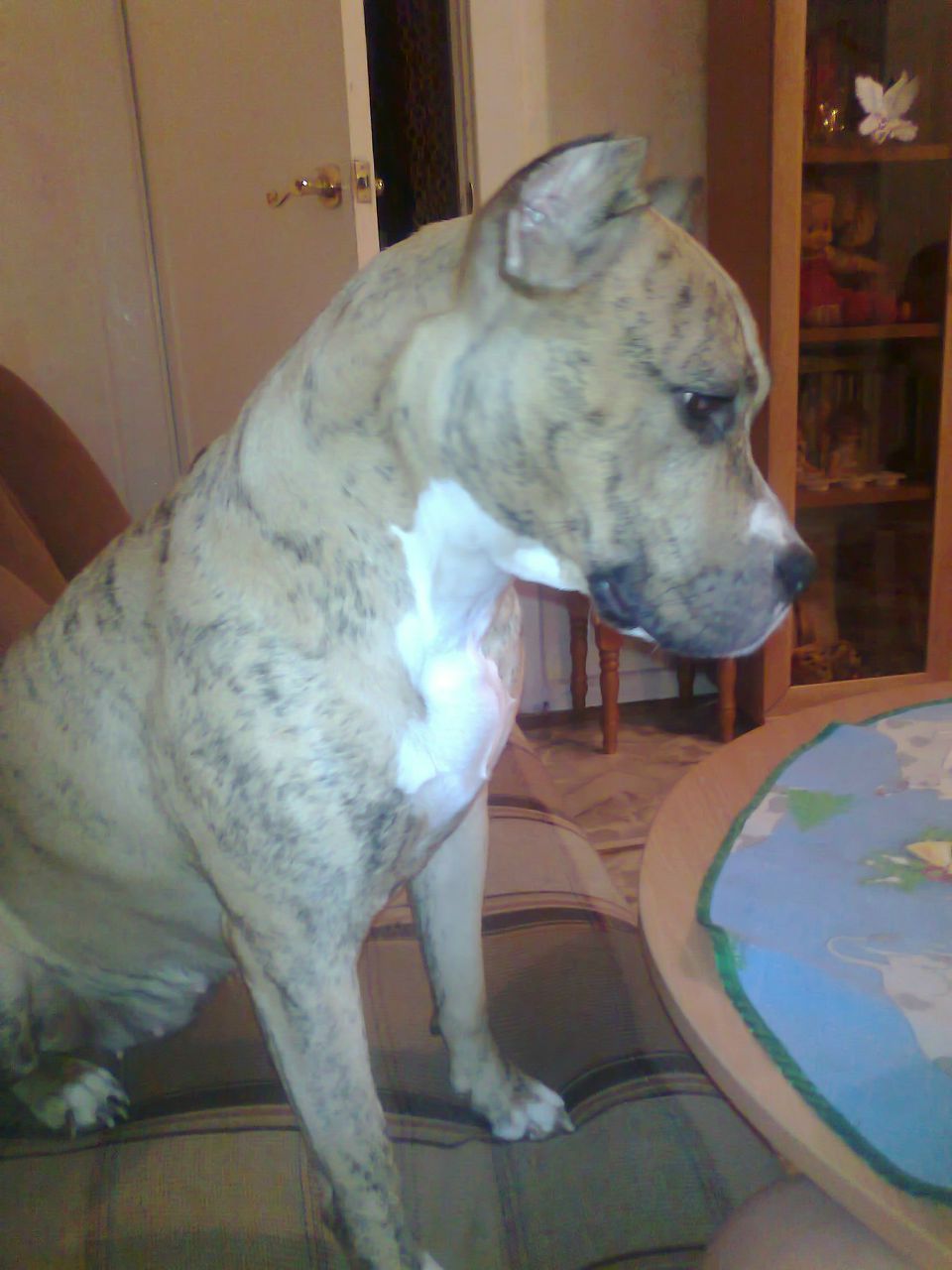 Дмитрий Крылов | Frankfurt am Main