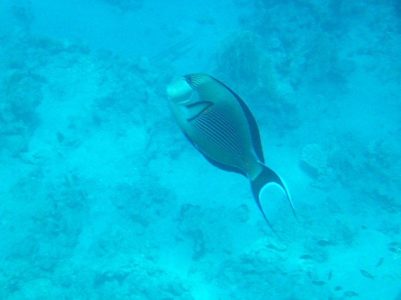 Эдуард Хитин | Нижний Новгород