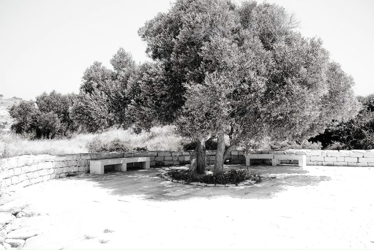 Mikhail Chipurnoi | Москва