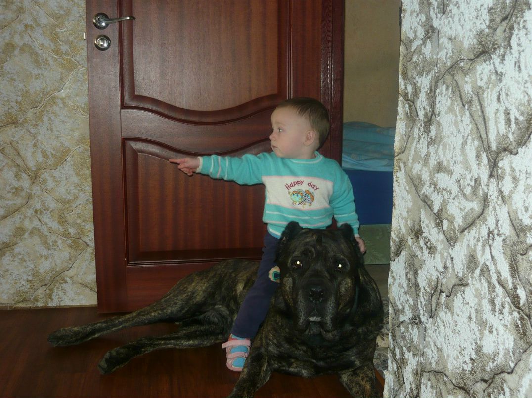 Андрей Мангуст Мангуст | Москва