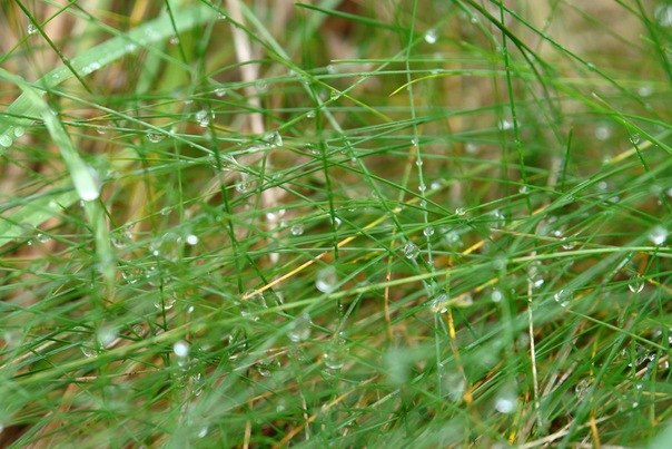 Дарья Веселова | Москва