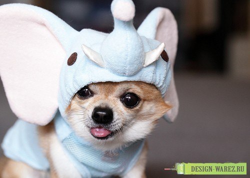 Sergey Teslenko Anatolievich | 