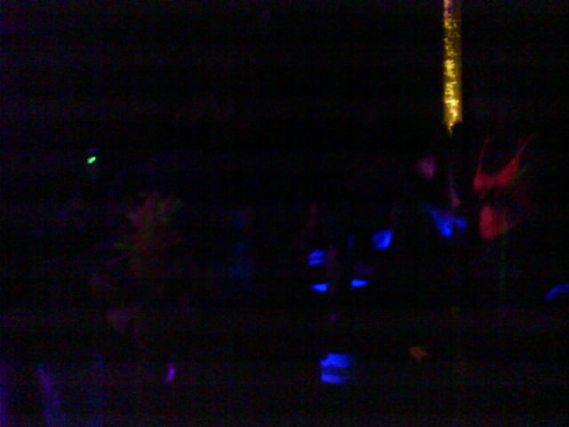 Владимир Бардашевич | Почеп