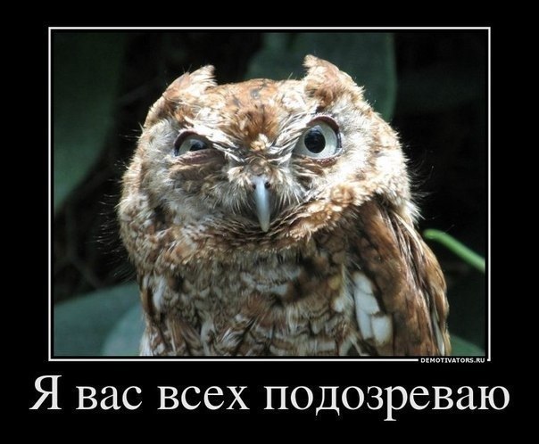 Артем Богдановский | Запорожье