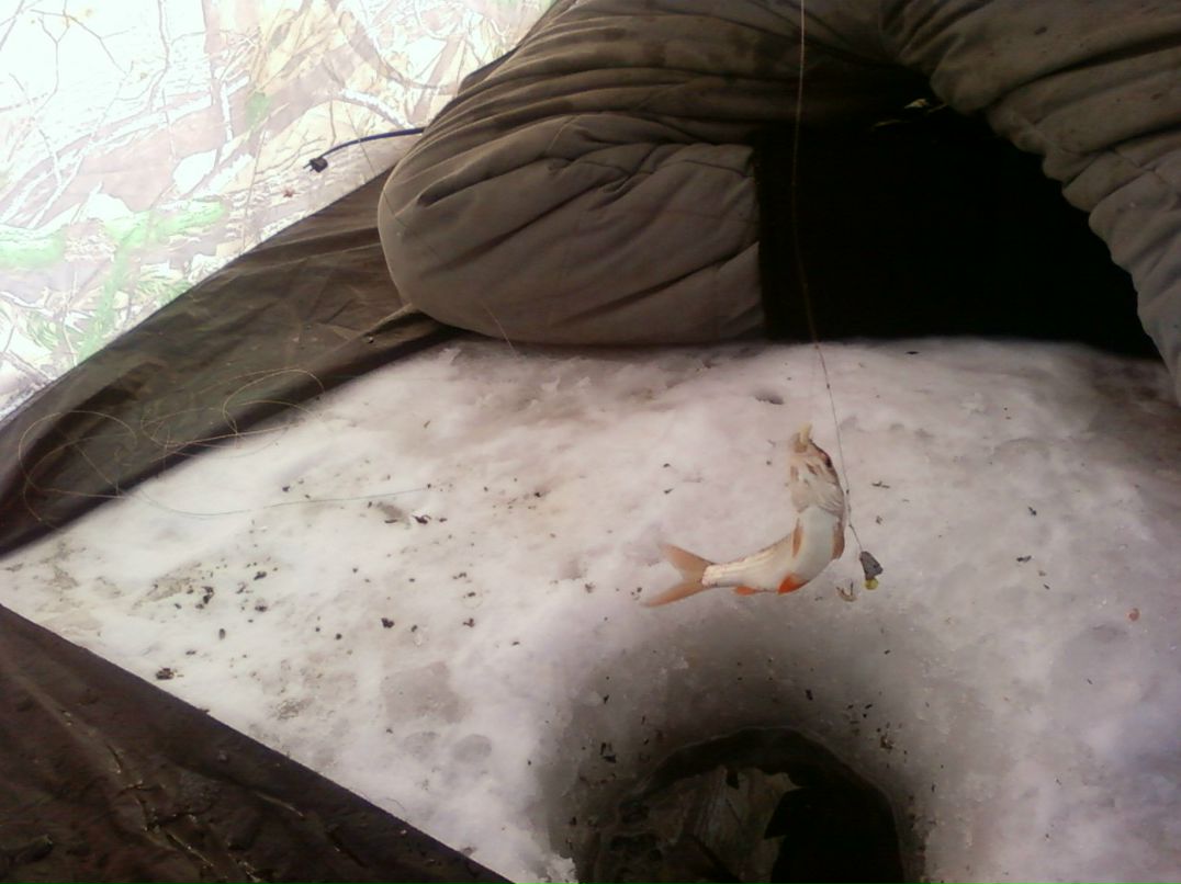 Александр Колесников | Киев