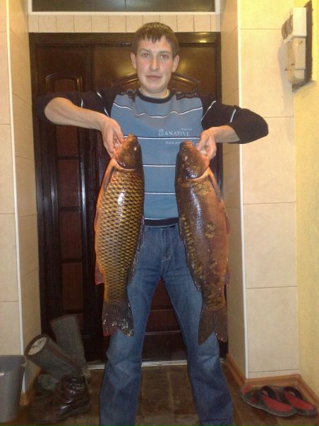 №11, Роман Курницький, Львов №11, Роман Курницький, Львов