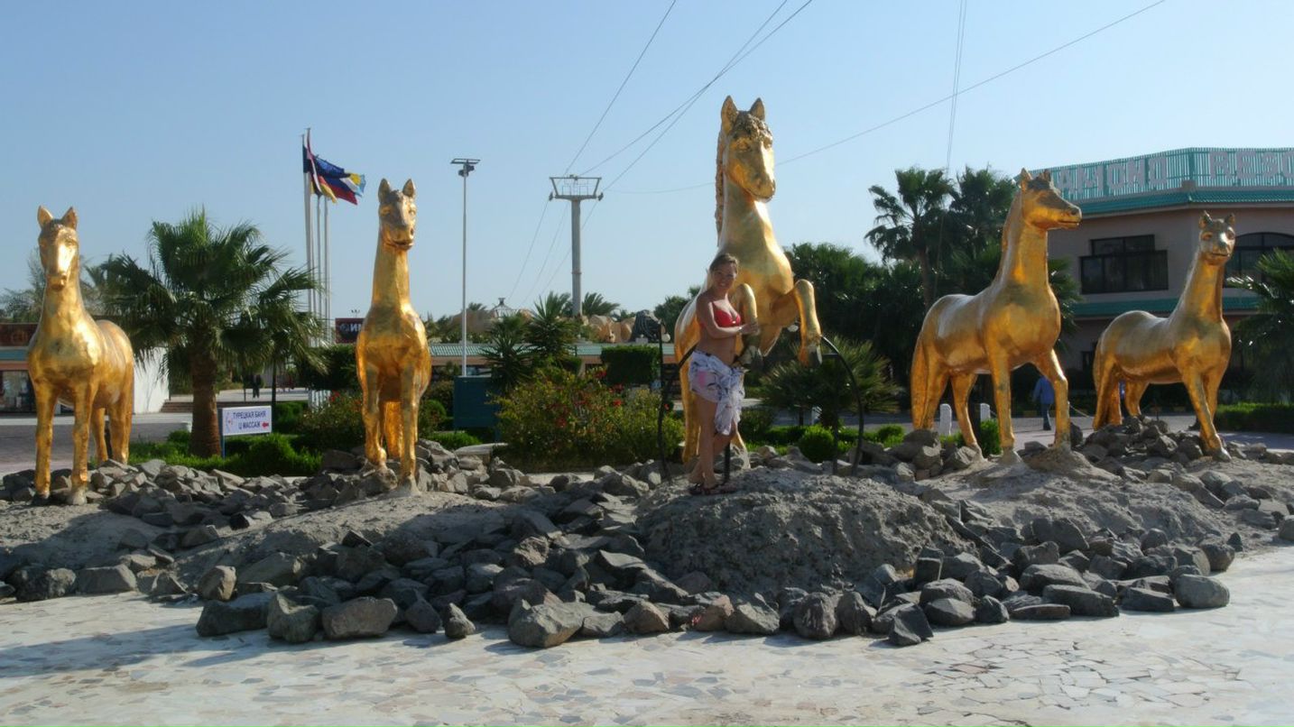 Елена Нестрогаева | Санкт-Петербург