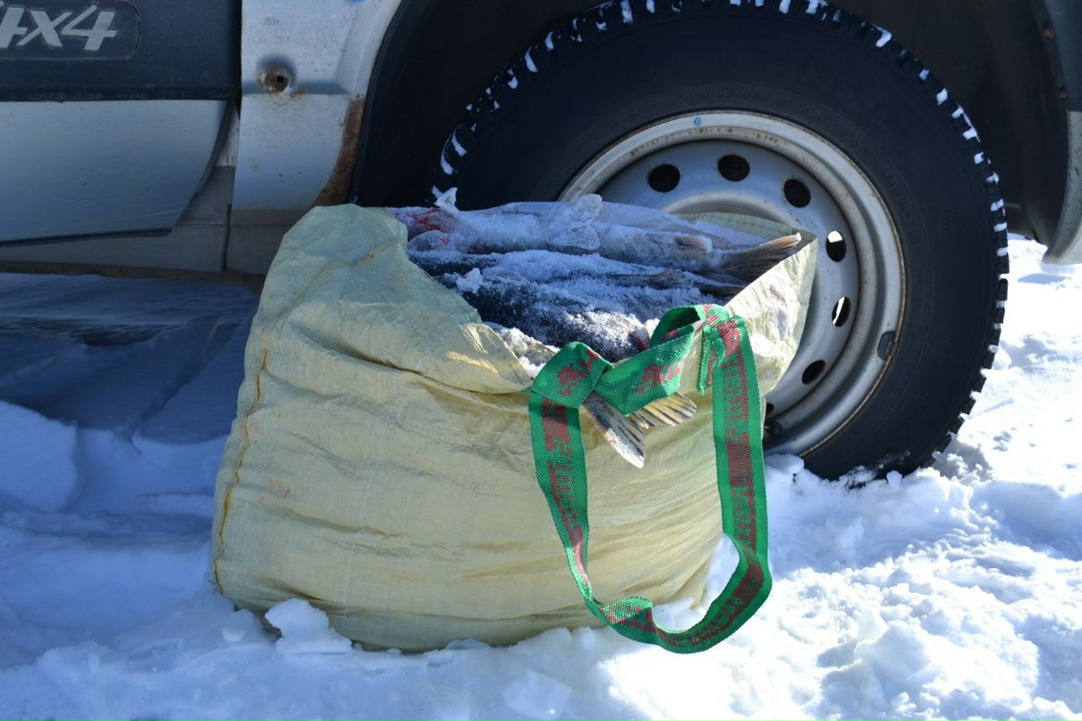 Михаил Ушаков | Санкт-Петербург