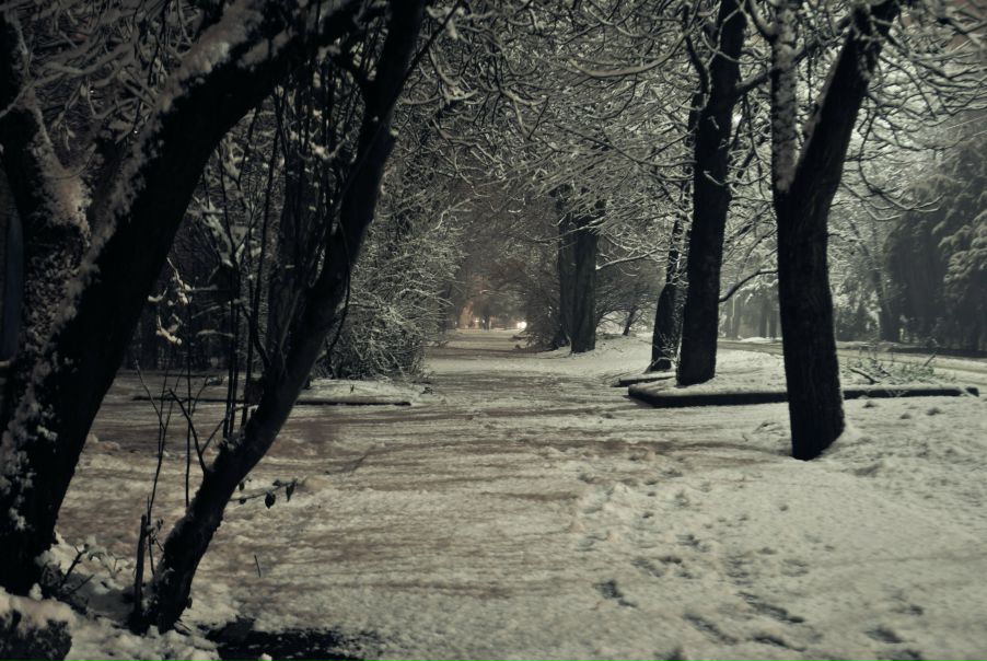 №22, Svetlana Markova, 38 лет, Surat Thani №22, Svetlana Markova, 38 лет, Surat Thani