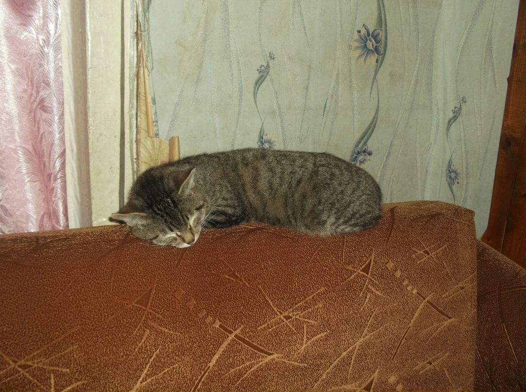 Александр Морозов | 