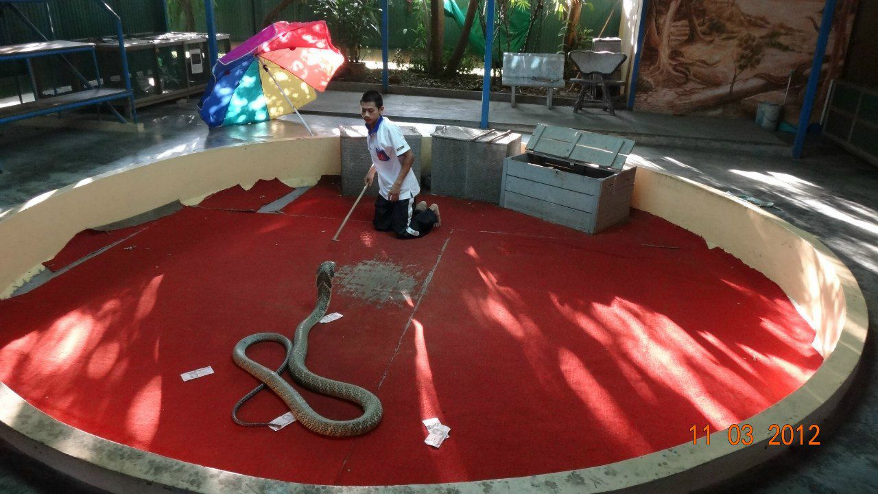 Роман Саков | Москва