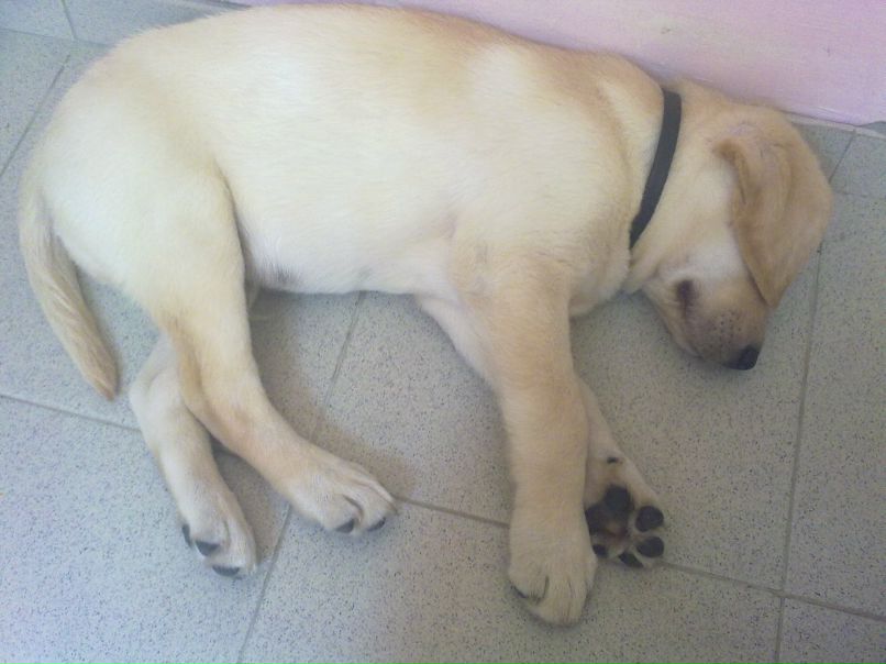 Vovan Kyahidi | Санкт-Петербург