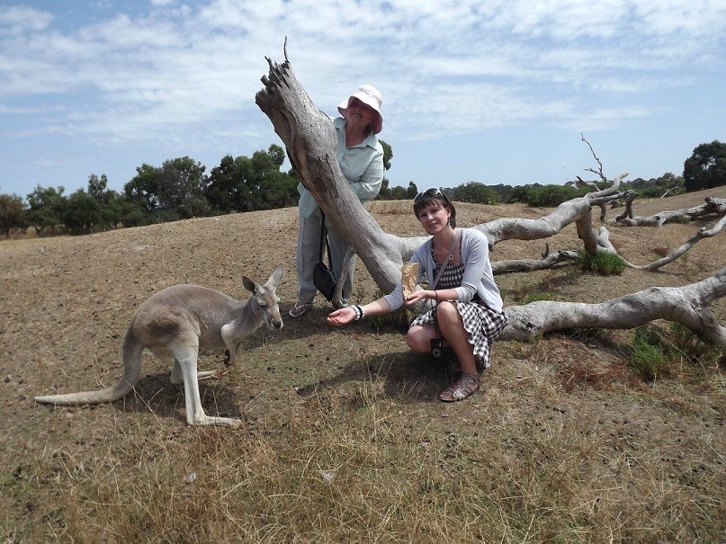 Виктория Шейгець | Newmarket