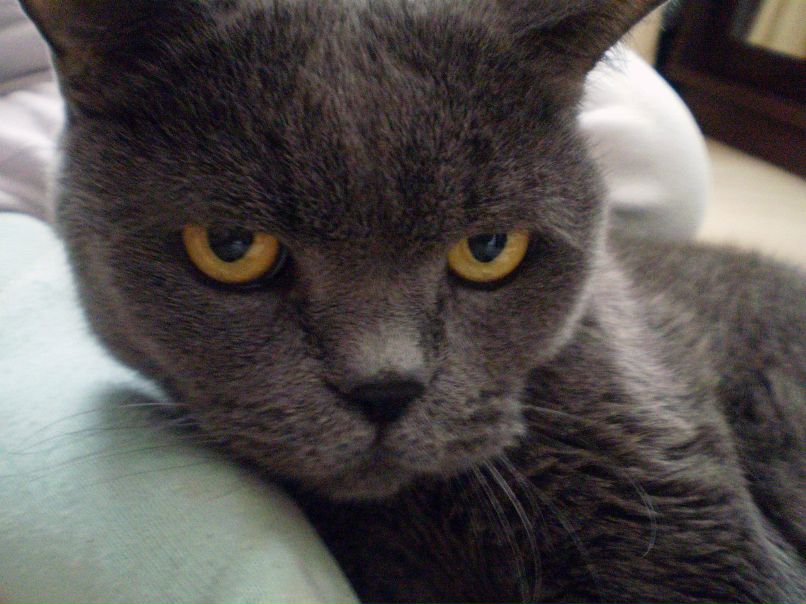 Бореслав Лосев | Севастополь