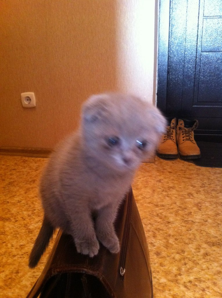 Дмитрий Нестеров ˙·٠•●VIngoSoule●•٠·˙ | Москва