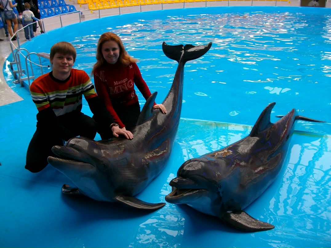 Александр Брацыло | Авдеевка