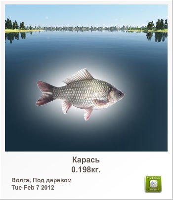 Олександр Лінчук kipo | Луцк
