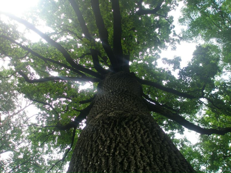 №80, Катерина Бутняк, 40 лет, Черновцы №80, Катерина Бутняк, 40 лет, Черновцы