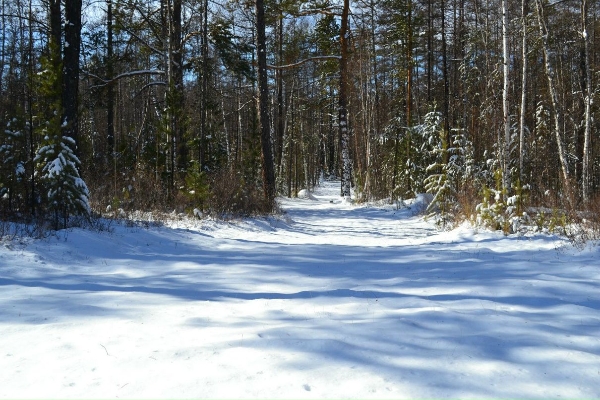 Юра Замфир | Северобайкальск