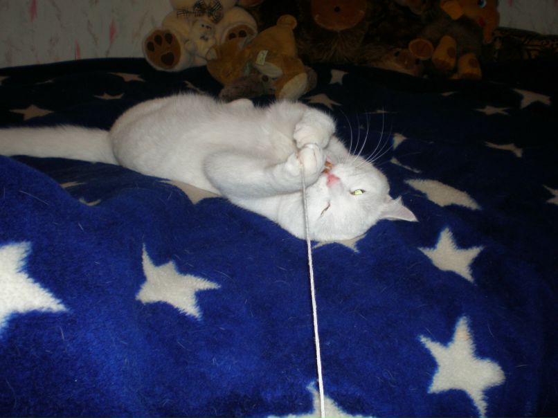 Наталья Чаусова | Санкт-Петербург