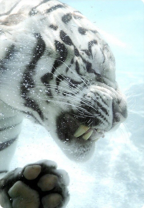 Діма Мінчук .....:::::NEXT_NEON:::::=)==== | 