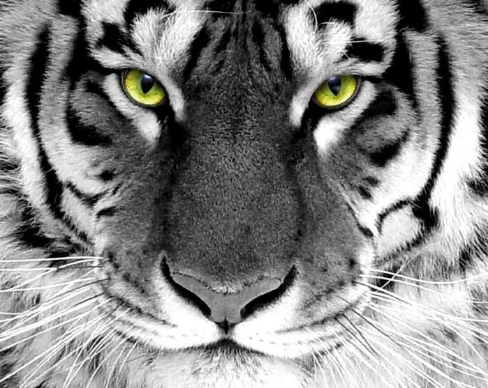 Вадим Перекрест | Глобино