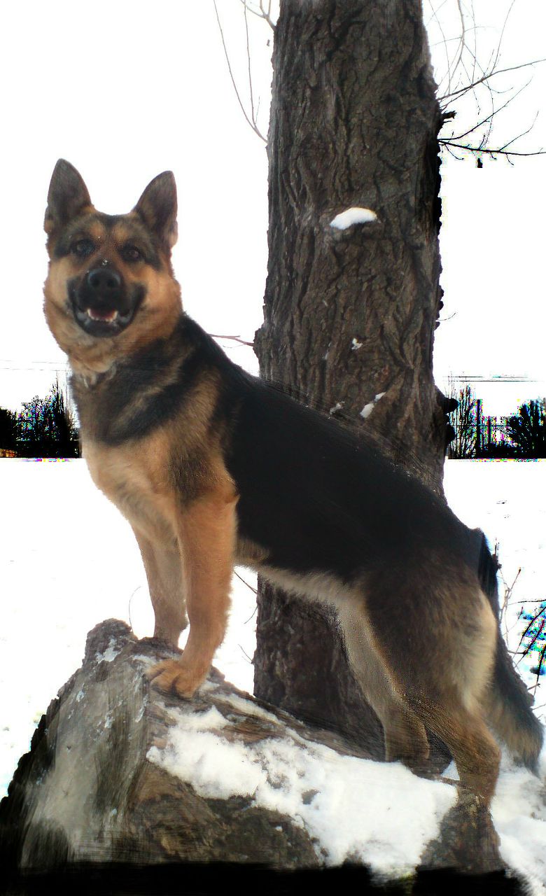 Рома Погуляйло | Черкассы